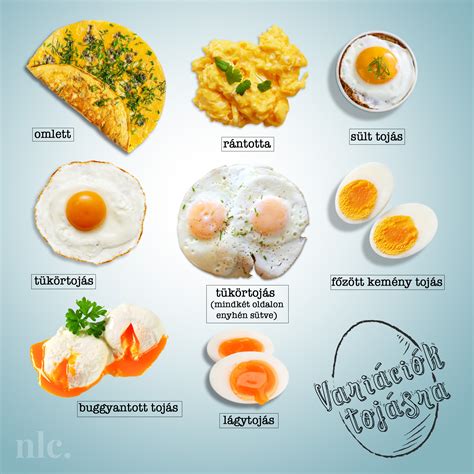 A tojás tápanyag összetétele infographic