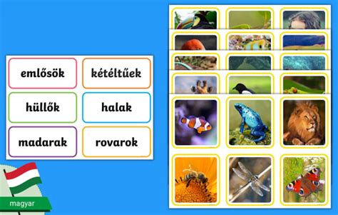 Tejtermelő állatok fajtái