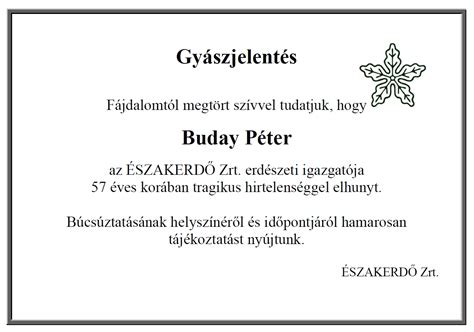 Buday Péter portréja