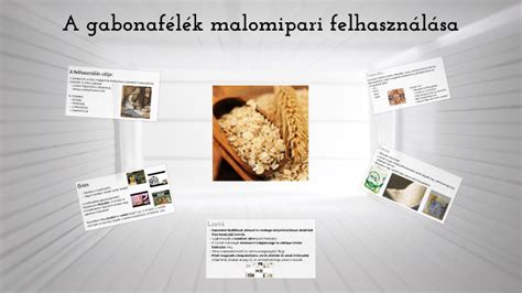 A gabonafélék sokszínű felhasználása