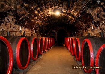Tokaji borospince
