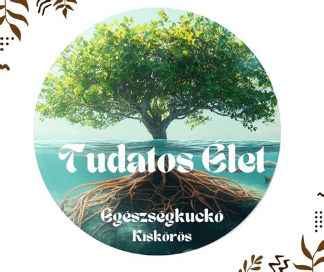 A bélrendszer és az agy kapcsolatát ábrázoló infografika