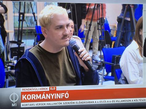 Megmarta kárpitrész