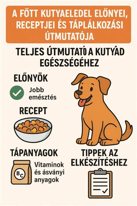 Nyers és főtt ételek előnyei és hátrányai macskák számára