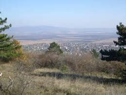 Nyakas-hegy karsztbokor erdő
