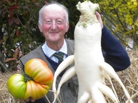 Peter Glazebrook óriás káposztával