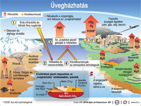 A globális népességnövekedést és az élelmiszertermelést bemutató infografika