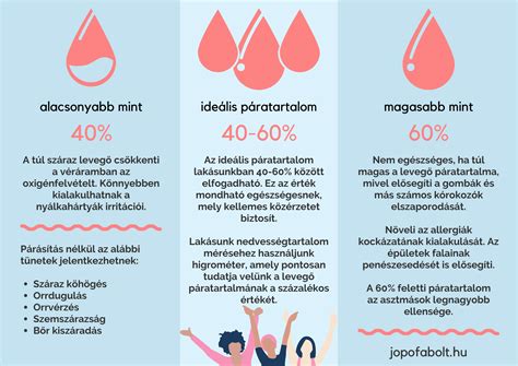 Ideális borospince hőmérsékleti és páratartalom diagramja