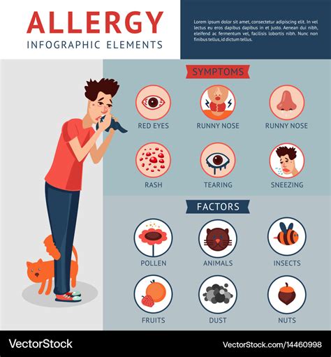 Common dog allergy symptoms infographic