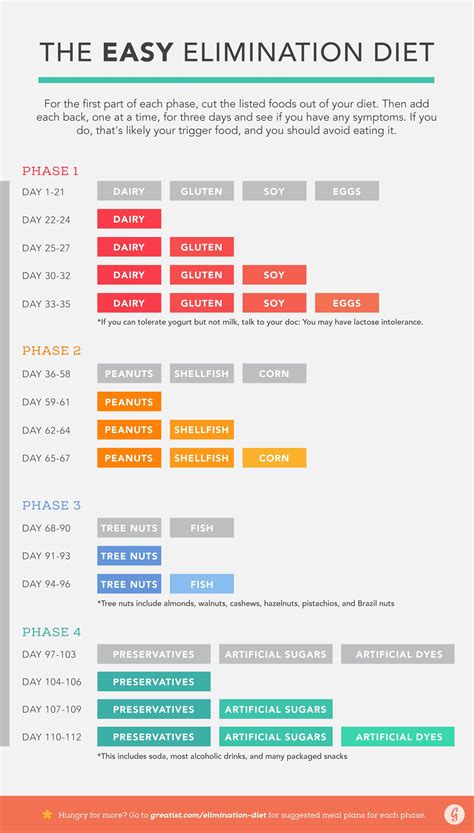 Elimination diet process flowchart for dogs