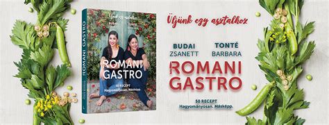 A Romani Gastro szakácskönyv borítója és egy ételfotó