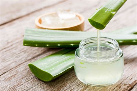 Különböző aloe vera kozmetikumok