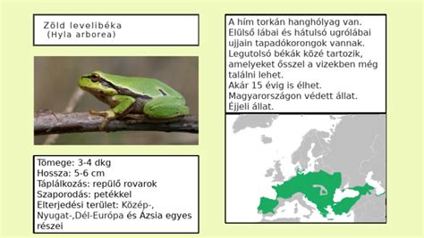 A zöld levelibéka európai elterjedési térképe