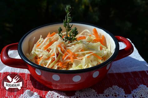 Lilahagymás sárgarépás káposztasaláta egy tálban