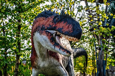 Dino Park Tata dinoszaurusz szobor