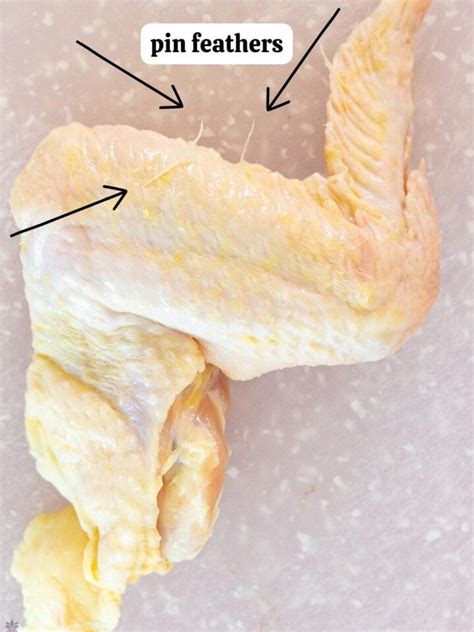 Inventory displaying raw chicken, cooked chicken, and feathers