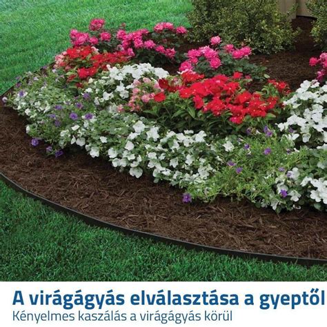 Virágágyás hagymásokkal