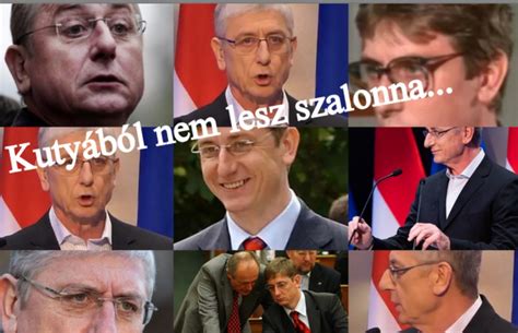 A „kutyából nem lesz szalonna” közmondás illusztrációja