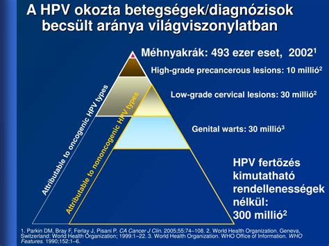 A HPV okozta betegségek spektruma
