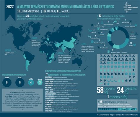 A VIFON történetét és nemzetközi terjeszkedését bemutató infografika