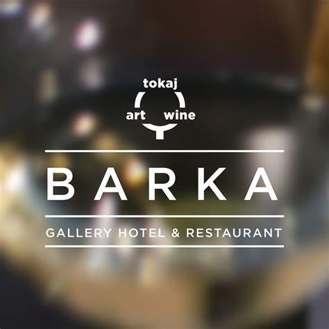 Tokaj Art Wine: Barka Galéria Hotel