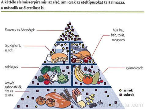 tudatos étkezési piramis