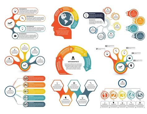 Infografika a bélflóra fontosságáról