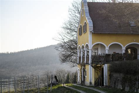 Istvándy Pincészet panorámája