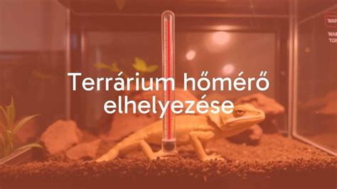 Földelőrudak elhelyezése