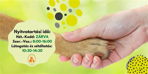 Szentendrei pince