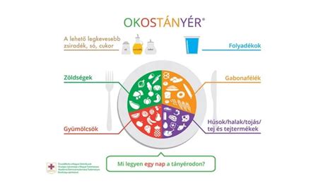 A tányér felosztása az Okostányér szerint