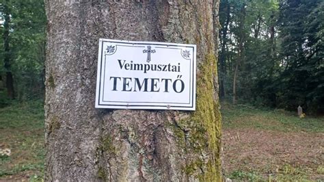 Túrázók a Bakonyban