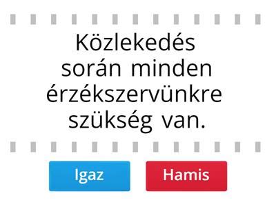 A figyelemelterelés hatása a rajzra