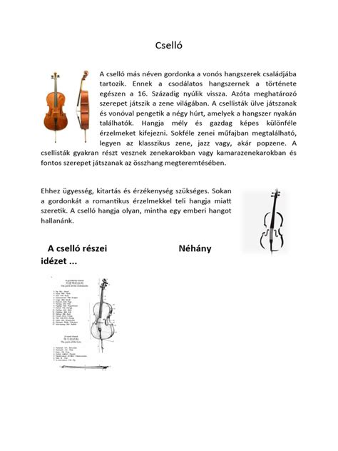 A cselló tartozékok áttekintése infografika