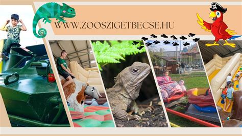 Szigetbecse látképe