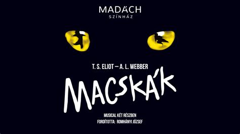 Macskák musical plakát