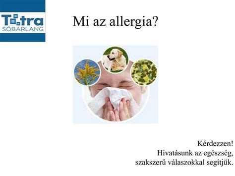 Diagram az allergia gyulladásos folyamatáról és a kortikoszteroidok gyulladáscsökkentő hatásáról