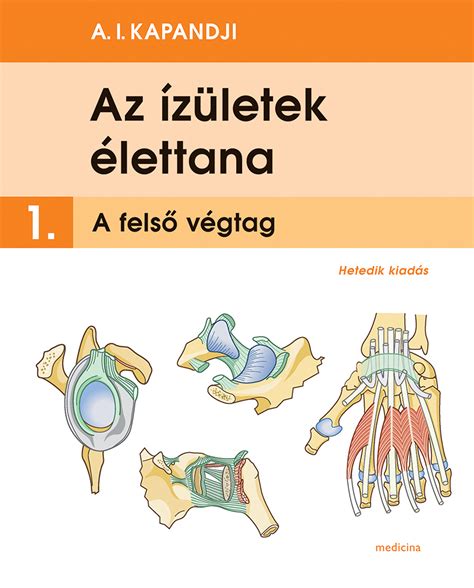 Infografika az ízületek felépítéséről