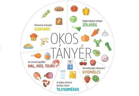 egészséges tányérmodell