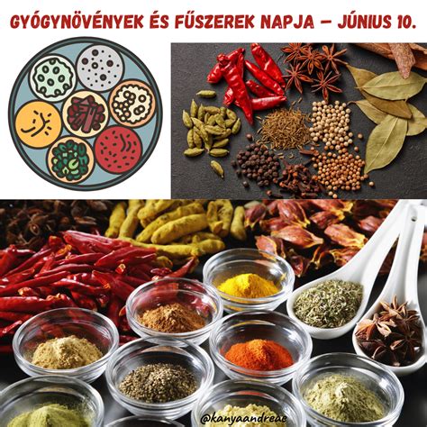 Különböző gyógynövények és fűszerek