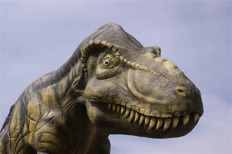 Dinoszaurusz formázása kézzel