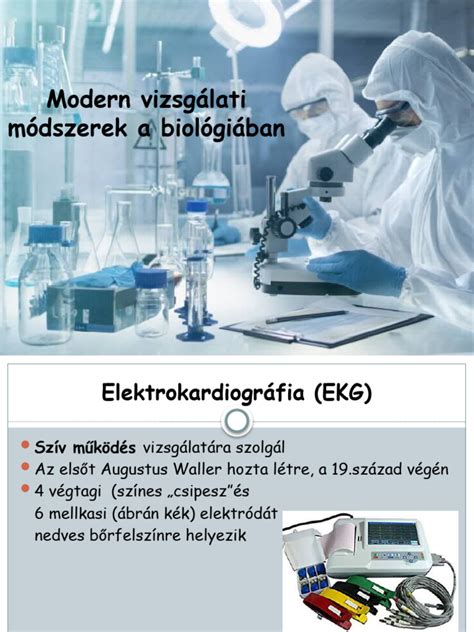 Képalkotó diagnosztikai módszerek