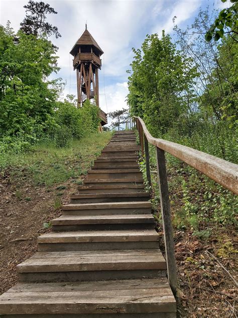 Fekete-hegyi kilátó