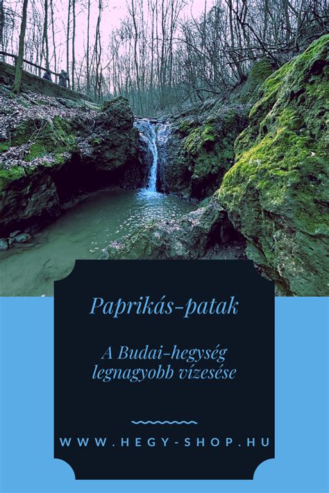 Túrázók a Paprikás-patak erdei ösvényén