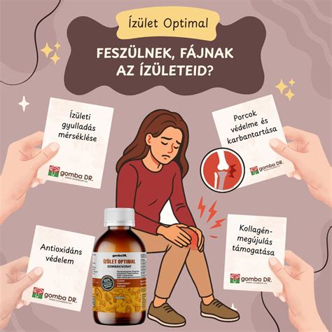 Az ízületi porcok szerkezete és a kollagén szerepe