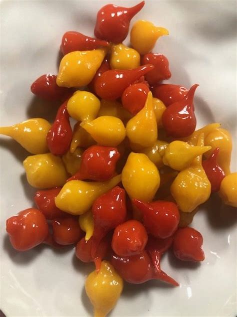 Infografika a Paprika Drops előnyeiről és felhasználásáról