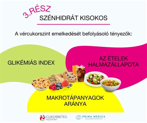 Dashboard egy táplálkozási alkalmazás felületéről, ahol a makrotápanyagok aránya látható