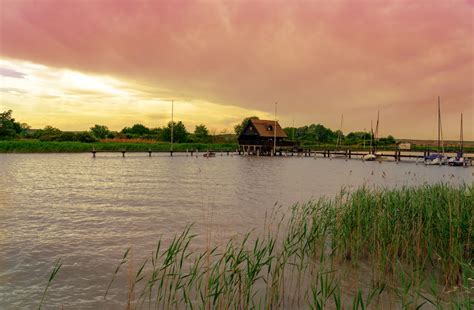 A Fertő tó jellegzetes madárfajai
