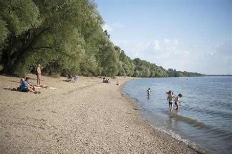Dunakeszi szabadstrand SUP-ozókkal