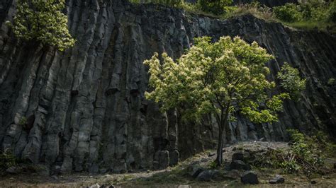 Savanyú vulkáni kőzet